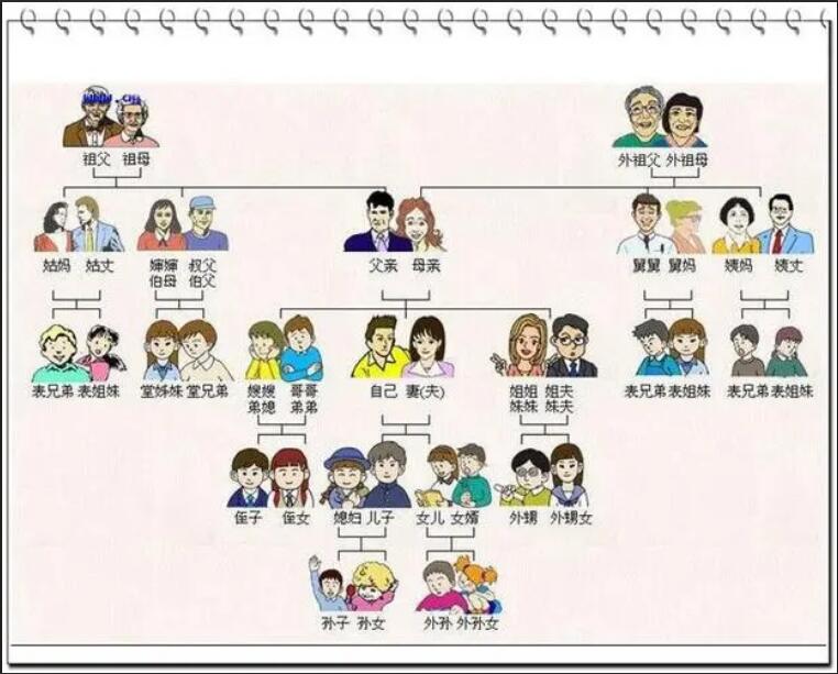 亲戚关系图 - 亲戚关系称呼 - 中国人亲戚关系图表 - 亲戚关系表