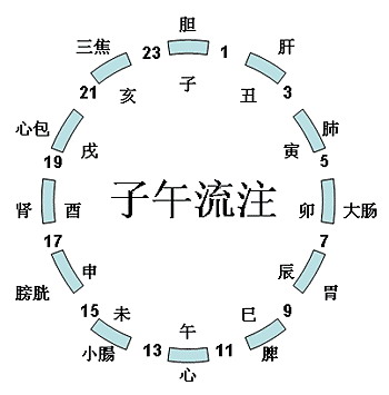 中医养生时辰