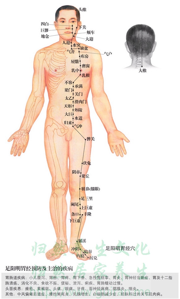 乳根穴 穴位图 小肠经 穴位查询