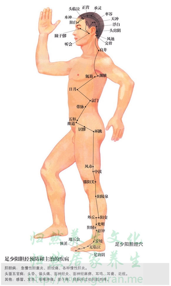五枢穴 穴位图 小肠经 穴位查询