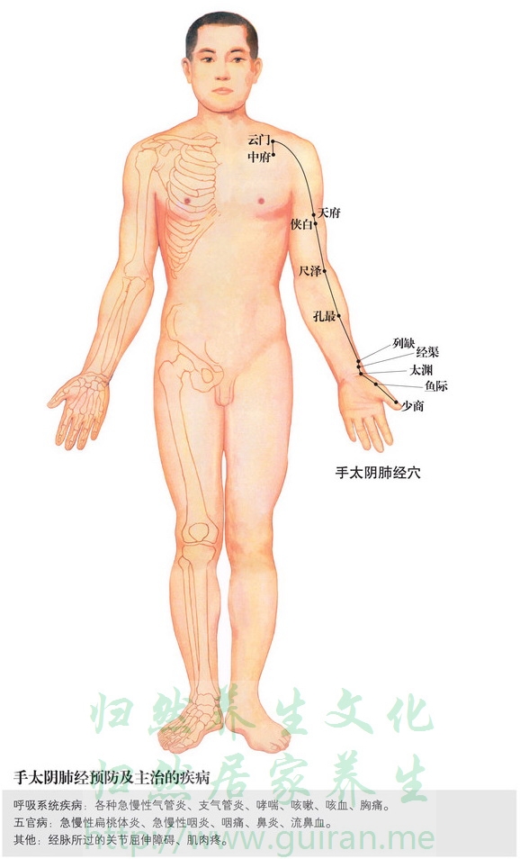 中府穴 穴位图 小肠经 穴位查询