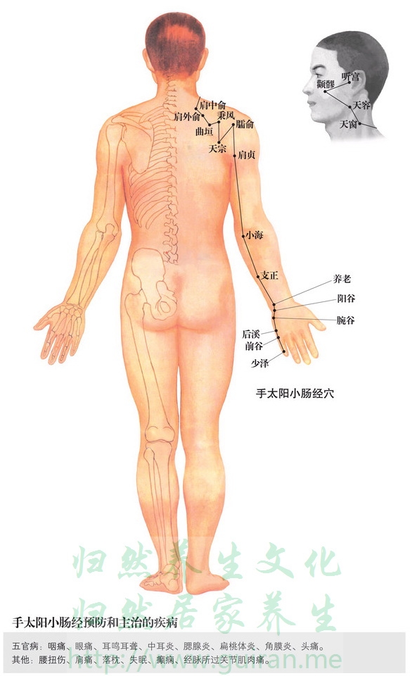 少泽穴 穴位图 小肠经 穴位查询