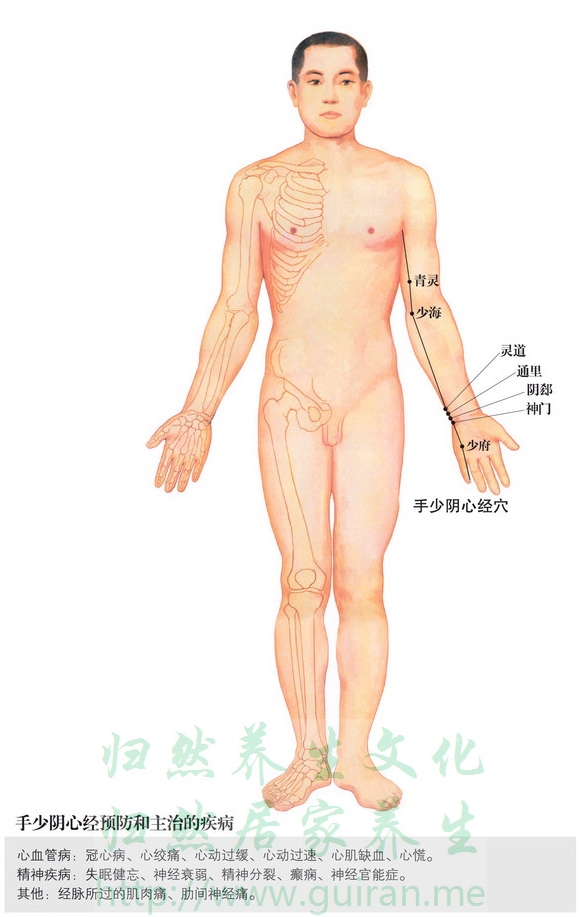 极泉穴 穴位图 小肠经 穴位查询