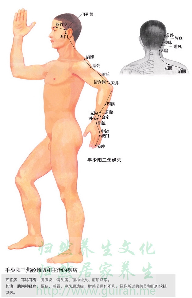 关冲穴 穴位图 小肠经 穴位查询