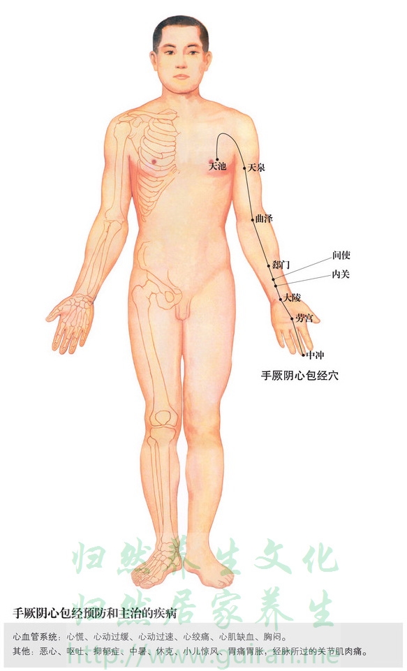 天池穴 穴位图 小肠经 穴位查询