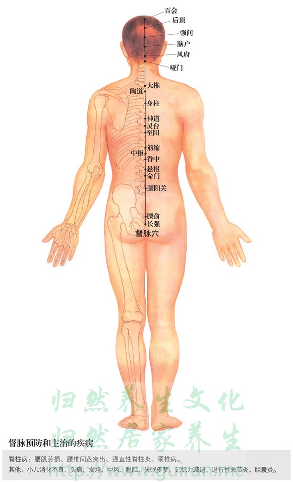 腰俞穴 穴位图 小肠经 穴位查询