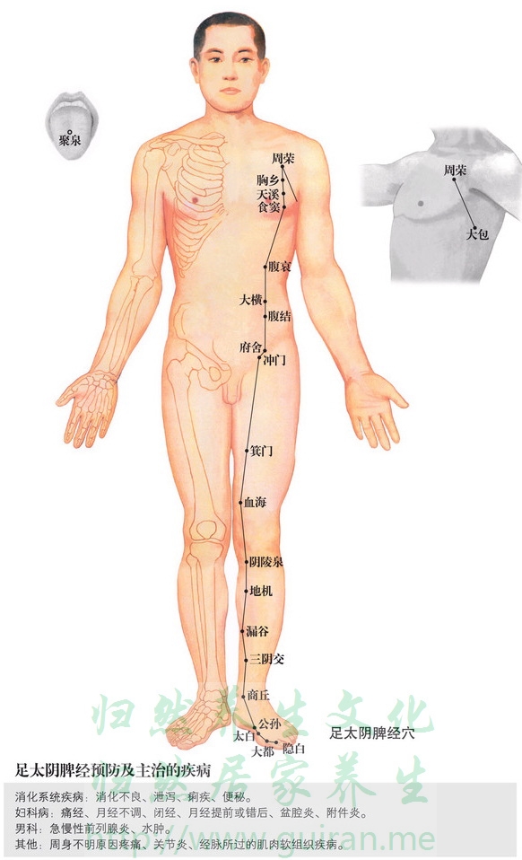 太白穴 穴位图 小肠经 穴位查询