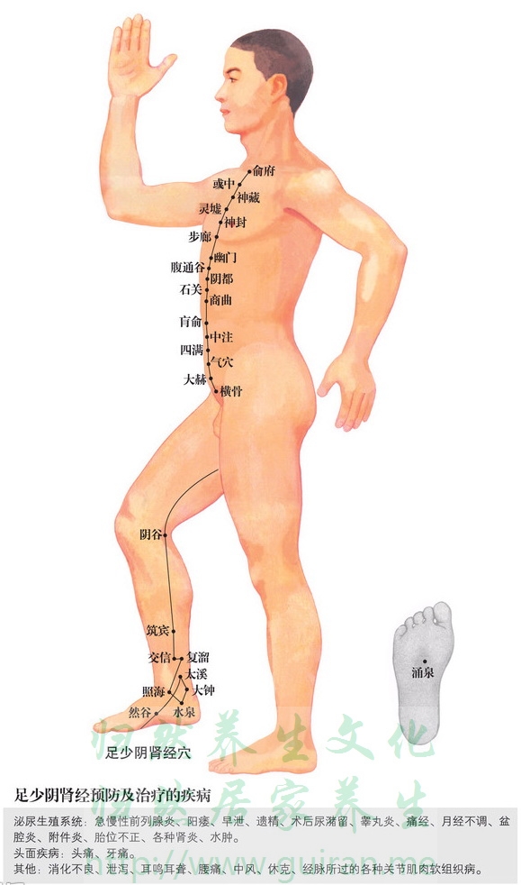 涌泉穴 穴位图 小肠经 穴位查询