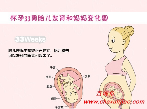 怀孕第33周胎儿发育图